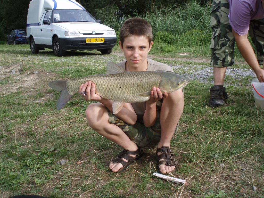 Vašek